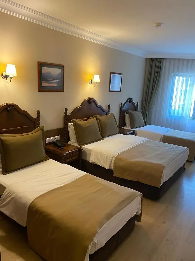 Hotel Bueyuek Levent Стамбул 0*,  Турция